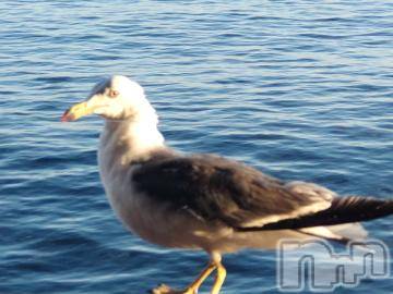 新潟デリヘル五十路マダム新潟店(カサブランカグループ)(イソジマダムニイガタテン)山本美羽子(55)の2023年8月9日写メブログ「おはようございます」