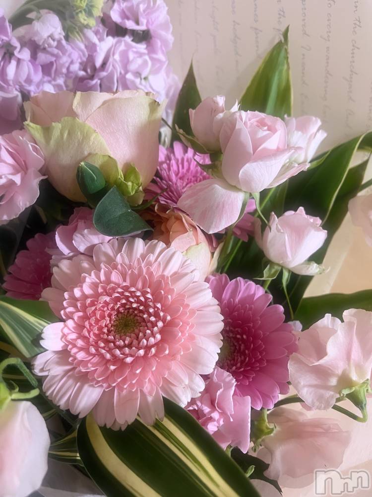 ��ë����Х��顦�����CLUB��Paladin(����֡��ѥ�ǥ���) �˴� ������2��1���̥�֥�����💐*·̩͙𓈒𓂂𓏸��