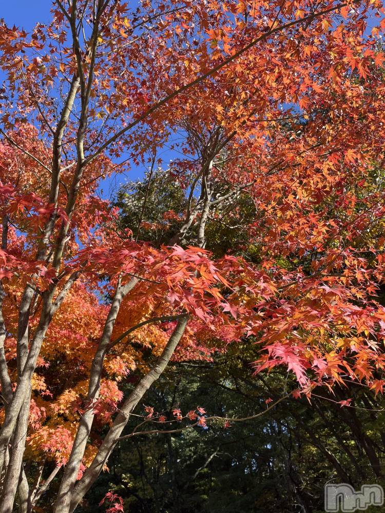 ��ë����Х��顦�����CLUB��Paladin(����֡��ѥ�ǥ���) �˴� ������10��30���̥�֥�����( ���꒳��� )ᐝ��