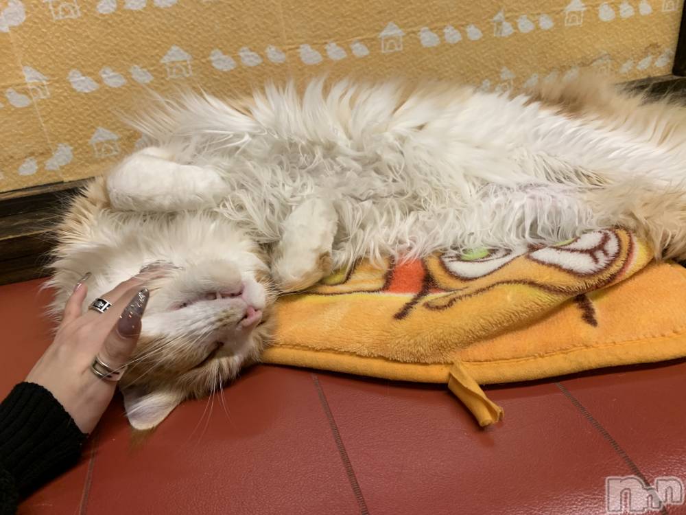 ��ë����Х��顦�����CLUB��Paladin(����֡��ѥ�ǥ���) �˴� ������1��8���̥�֥����֢�(  ᴖ ̫ᴖ)��🎶��