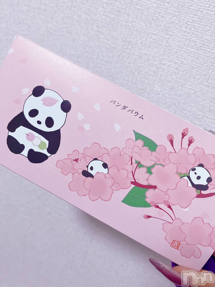 ��ë����Х��顦�����CLUB��Paladin(����֡��ѥ�ǥ���) �˴� ������3��27���̥�֥�����🐼🐾��