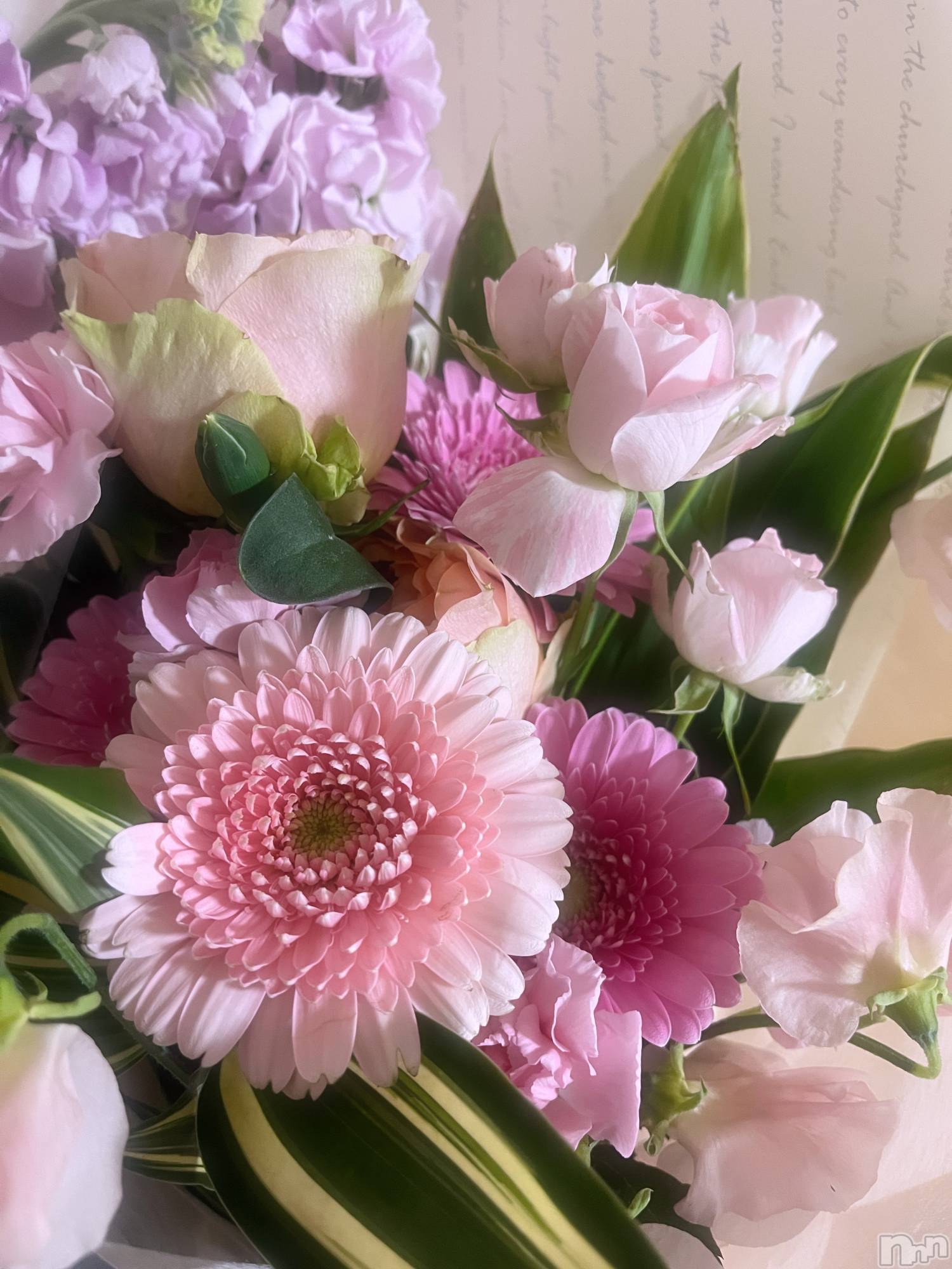 ��ë����Х��顦�����CLUB��Paladin(����֡��ѥ�ǥ���) ��2025ǯ2��1���̥�֥�����💐*·̩͙𓈒𓂂𓏸��