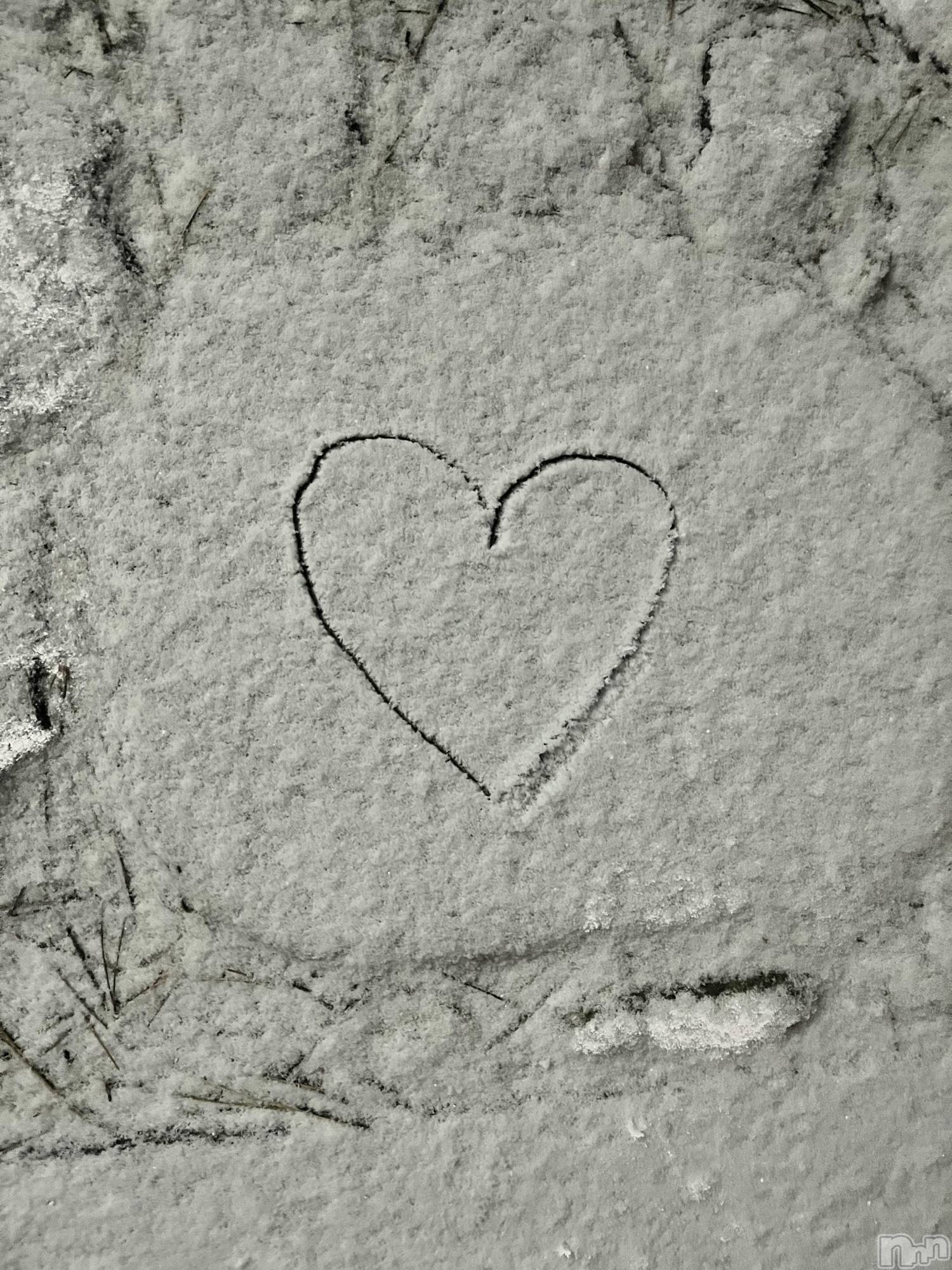 ��ë����Х��顦�����CLUB��Paladin(����֡��ѥ�ǥ���) ��2026ǯ2��5���̥�֥����ֲ����🤍��