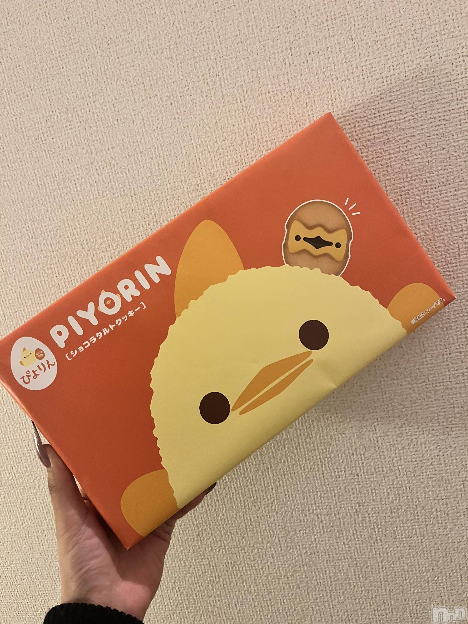 ��ë����Х��顦�����CLUB��Paladin(����֡��ѥ�ǥ���) ��2026ǯ2��26���̥�֥�����🐥⸒⸒��