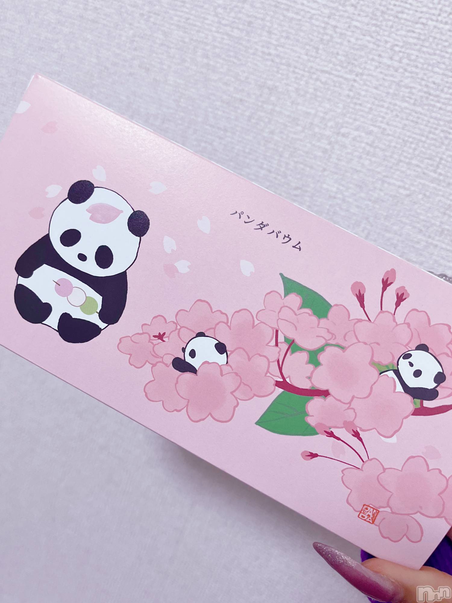 ��ë����Х��顦�����CLUB��Paladin(����֡��ѥ�ǥ���) ��2026ǯ3��27���̥�֥�����🐼🐾��