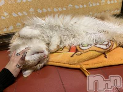 ��ë����Х��顦�����CLUB��Paladin(����֡��ѥ�ǥ���) �˴� ����(18)��1��8���̥�֥����֢�(  ᴖ ̫ᴖ)��🎶��