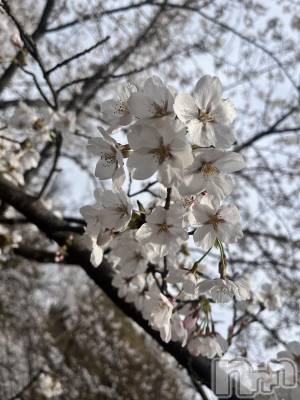 ��ë����Х��顦�����CLUB��Paladin(����֡��ѥ�ǥ���) �˴� ����(18)��4��11���̥�֥�����🥱��