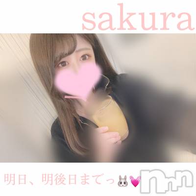 松本発デリヘル Revolution(レボリューション) さくら☆奇跡のド変態S級美少女(20)の12月16日写メブログ「感謝です👼🏻💓明日以降の空き枠🏩」