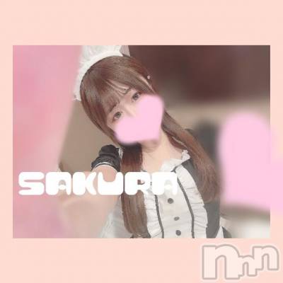 松本発デリヘル Revolution(レボリューション) さくら☆奇跡のド変態S級美少女(20)の4月20日写メブログ「マイス240分本指名様🐱❤️‍🔥」