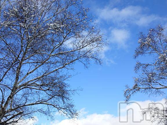 上田発デリヘルBIBLE～奥様の性書～(バイブル～オクサマノセイショ～) ◆千尋-チヒロ-◆(40)の3月10日写メブログ「ハム」