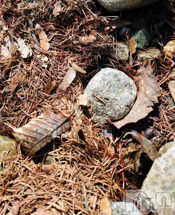 上田発デリヘルBIBLE～奥様の性書～(バイブル～オクサマノセイショ～)◆千尋-チヒロ-◆(40)の2026年3月31日写メブログ「おーのぅ！」