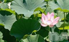 上田発デリヘルBIBLE～奥様の性書～(バイブル～オクサマノセイショ～) ◆千尋-チヒロ-◆(40)の10月20日写メブログ「旅に出よう」