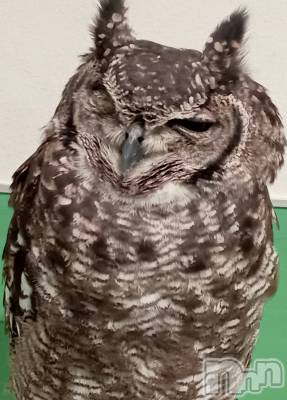 上田発デリヘル BIBLE～奥様の性書～(バイブル～オクサマノセイショ～) ◆千尋-チヒロ-◆(40)の9月16日写メブログ「鋭い視線」