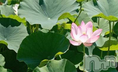 上田発デリヘル BIBLE～奥様の性書～(バイブル～オクサマノセイショ～) ◆千尋-チヒロ-◆(40)の10月20日写メブログ「旅に出よう」