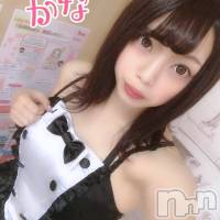 新潟デリヘル Las Vegas(ラスベガス)の10月24日お店速報「本日は制服orバニーガールコスプレ無料ご案内です」