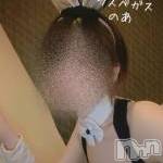 新潟デリヘル Las Vegas(ラスベガス)の4月16日お店速報「本日出勤３回目の新人ちゃん、レア出勤嬢出勤中です★お得な割引特典情報★」