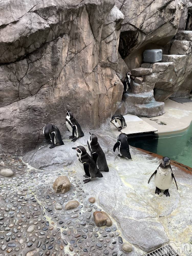 Ĺ襳ѥ˥󥯥֥ѥ˥󥯥  1116ֿ̥֥²🐬🫧‪