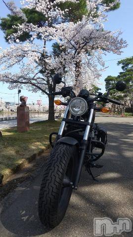 上越デリヘルエンジェル みさき(42)の4月10日写メブログ「サクラとバイク」