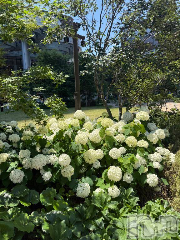上田発人妻デリヘルPrecede 上田東御店(プリシード ウエダトウミテン) ひかり(45)の6月18日写メブログ「こんにちは🍀」