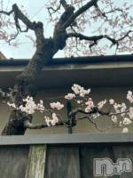 上田発人妻デリヘル Precede 上田東御店(プリシード ウエダトウミテン) ひかり(45)の3月30日写メブログ「おはようございます☆」