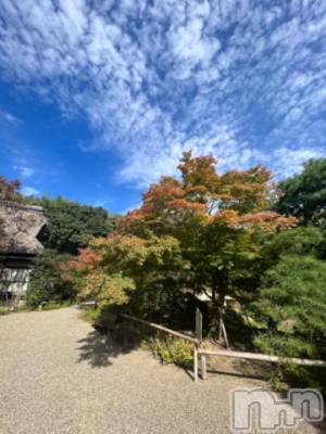上田発人妻デリヘル Precede 上田東御店(プリシード ウエダトウミテン) ひかり(45)の11月8日写メブログ「おはようございます☆」