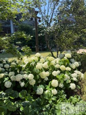 上田発人妻デリヘル Precede 上田東御店(プリシード ウエダトウミテン) ひかり(45)の6月18日写メブログ「こんにちは🍀」