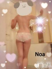 新潟デリヘルSecret Love(シークレットラブ) のあ☆清楚S級美人姉妻♪♪(33)の9月7日写メブログ「仕事休憩中デリ」