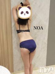 新潟デリヘルSecret Love(シークレットラブ) のあ☆清楚S級美人姉妻♪♪(33)の10月10日写メブログ「23時から空きます♥️」