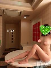 新潟デリヘルSecret Love(シークレットラブ) のあ☆清楚S級美人姉妻♪♪(33)の11月19日写メブログ「夜からだよ☪️♥️」