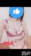 新潟デリヘルSecret Love(シークレットラブ) のあ☆清楚S級美人姉妻♪♪(35)の3月17日動画「動くノアだよー！」