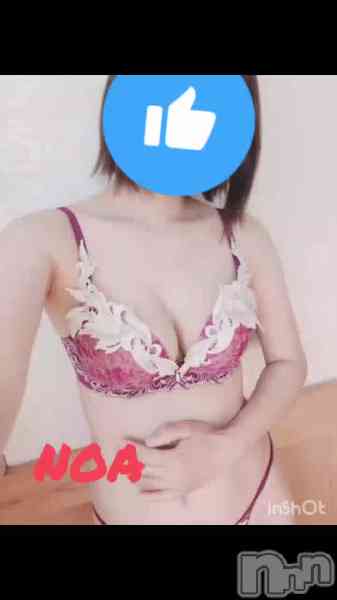 のあ☆清楚S級美人姉妻♪♪の動画 動くノアだよー！