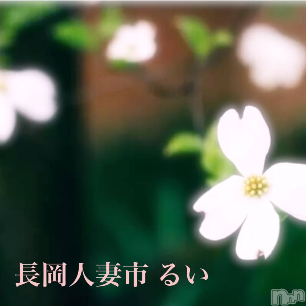 長岡デリヘル長岡人妻市(ナガオカヒトヅマイチ)るい★キス&イチャ好き(33)の2026年5月8日写メブログ「クズはクズでしかないんだよ。」