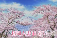 長岡人妻デリヘル長岡人妻市(ナガオカヒトヅマイチ) るい★キス&イチャ好き(33)の4月16日写メブログ「桜が綺麗に咲いてるね。」