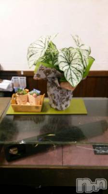 Ʋʥå륺Сfeel bar prs(եСץ) 莰(39)79̥֥