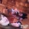 Ʋʥå륺Сfeel bar prs(եСץ) 莰930̥֥֤ߤȡ