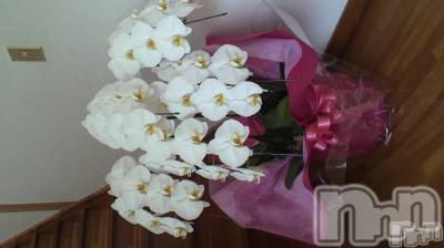 Ʋʥå륺Сfeel bar prs(եСץ) ώϤ517̥֥(=^^=)Ρ
