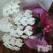 Ʋʥå륺Сfeel bar prs(եСץ) ώϤ517̥֥(=^^=)Ρ