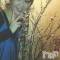 Ʋʥå륺Сfeel bar prs(եСץ) ώϤ310ֵ̥֥פ֤ι(*^_ )