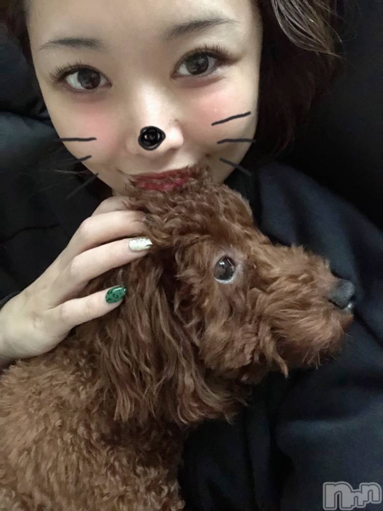 ȯĥХ顦La.DOUBLE(֥) 1117̥֥֤ä