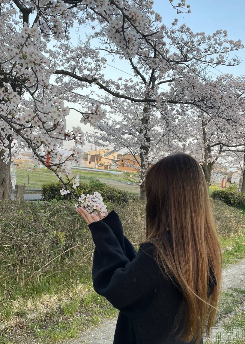 ȯĥХ顦La.DOUBLE(֥) 2023ǯ41ֵ̥֥ꤤޤ🌸