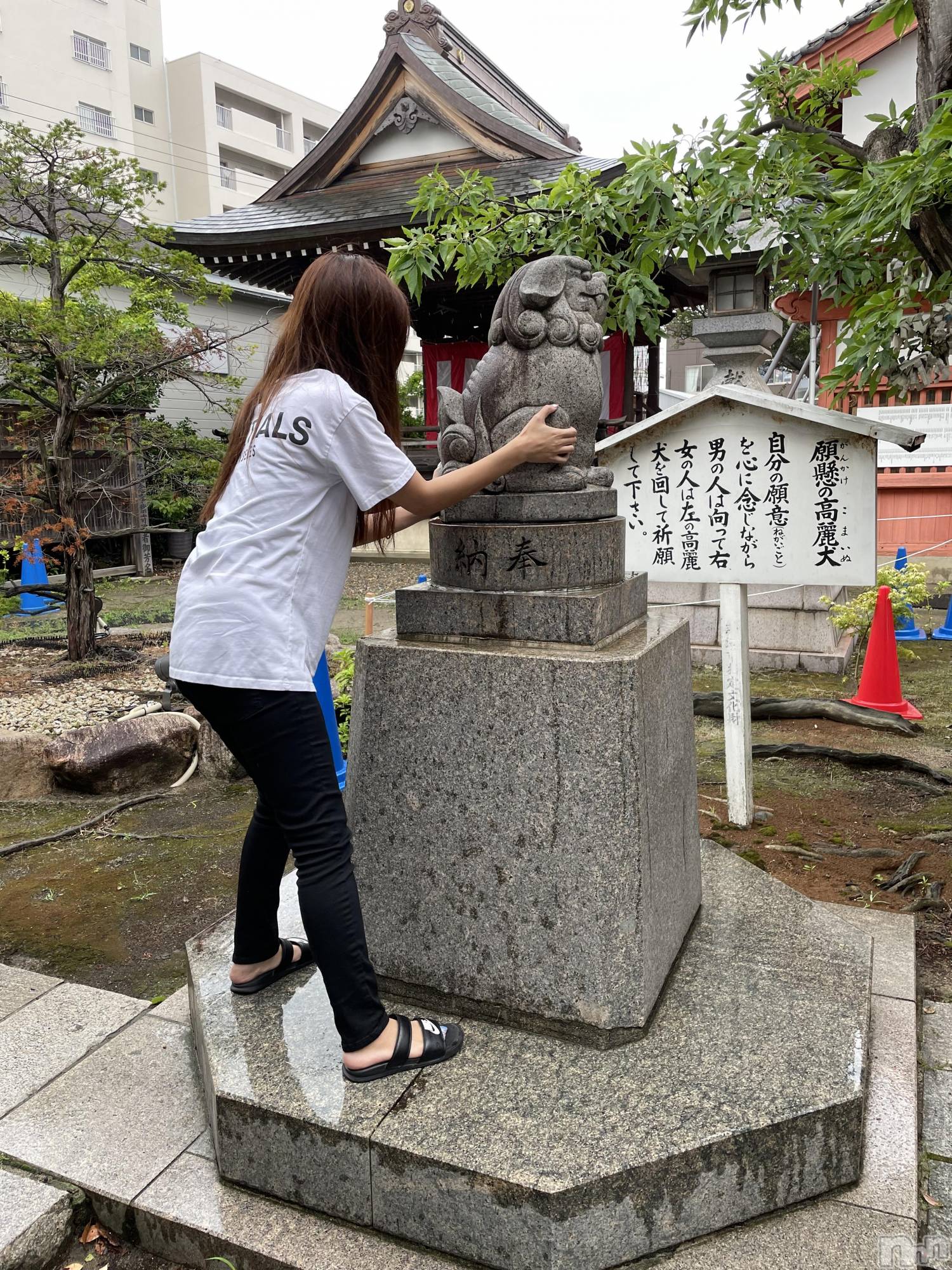 ȯĥХ顦La.DOUBLE(֥) 2024ǯ712̥֥ˤʤꤿ