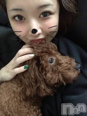 ȯĥХ顦La.DOUBLE(֥) (19)1117̥֥֤ä