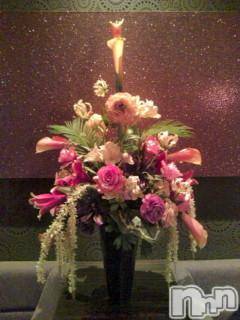 ƲХ顦ֲ֥ڲСݣȣΣ£ɡ(֥ϥʥ)  2011ǯ519̥֥νжС