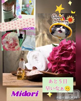 長岡デリヘル 長岡風俗出張アロママッサージ(ナガオカフウゾクシュッチョウアロママッサージ) 美人みどり☆リクエスト可(37)の2月23日写メブログ「あと５日だ(*・ｘ・)」