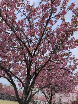 長岡デリヘル 長岡風俗出張アロママッサージ(ナガオカフウゾクシュッチョウアロママッサージ) 美人みどり☆リクエスト可(37)の4月18日写メブログ「地震、大丈夫？」