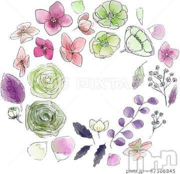 新潟デリヘル 新潟人妻デリバリーヘルス 下心 ～したごころ～(シタゴコロ) 武田(たけだ)奥様(26)の9月11日写メブログ「[お題]from:アルフさん」