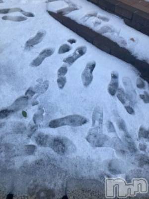 新潟デリヘル 新潟人妻デリバリーヘルス 下心 ～したごころ～(シタゴコロ) 武田(たけだ)奥様(26)の12月29日写メブログ「雪がちらほら??｡*?」