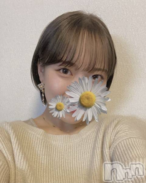 ʥå륺СVeronica-˥-(˥)  2021ǯ1127̥֥11/27жо