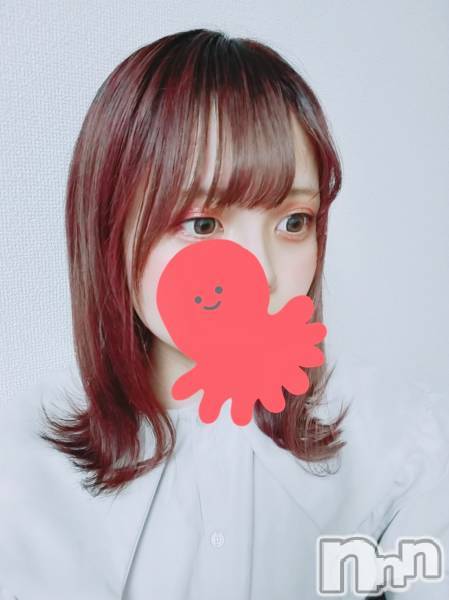 ʥå륺СVeronica-˥-(˥)  2021ǯ1220̥֥νжо
