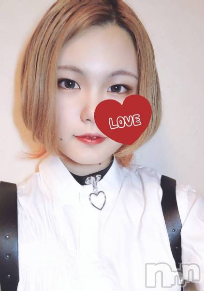 ʥå륺СVeronica-˥-(˥)  2021ǯ1224̥֥νжо